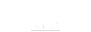 Orange icon